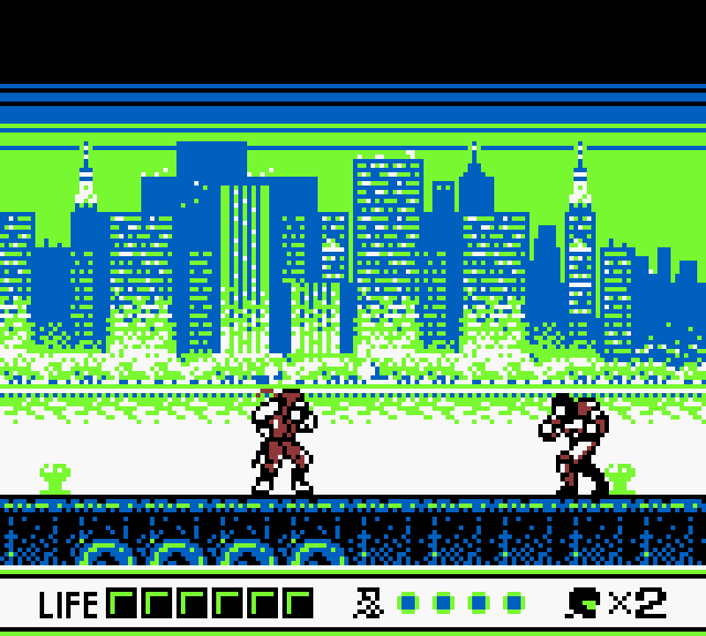 Ninja Gaiden Shadow Screenshot 1